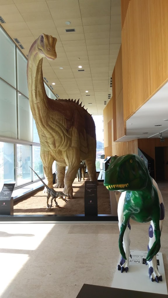 Museo Paleontológico de Castilla-La Mancha - Foto 10