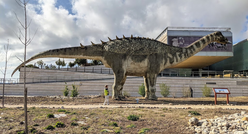 Museo Paleontológico de Castilla-La Mancha - Foto 1