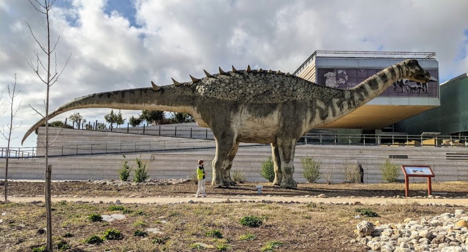 Museo Paleontológico de Castilla-La Mancha - Foto 12