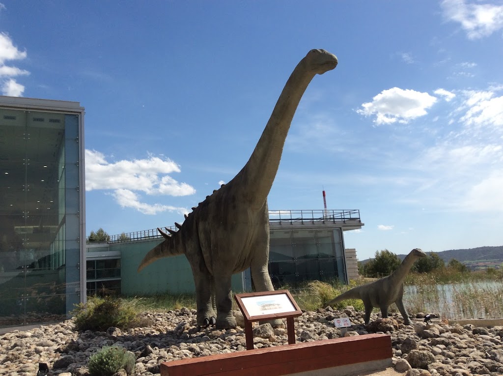 Museo Paleontológico de Castilla-La Mancha - Foto 1