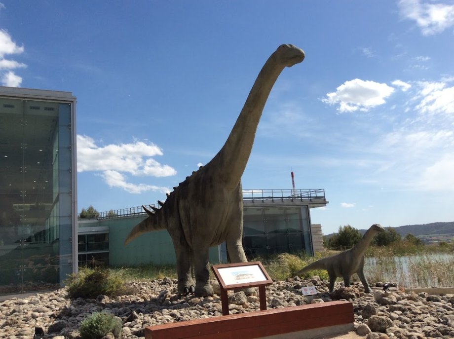 Museo Paleontológico de Castilla-La Mancha - Foto 13