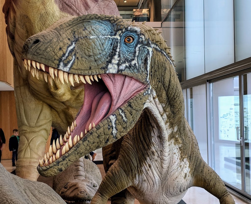 Museo Paleontológico de Castilla-La Mancha - Foto 1