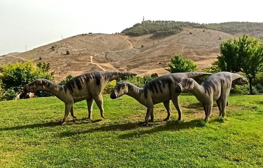 Museo Paleontológico de Castilla-La Mancha - Foto 18