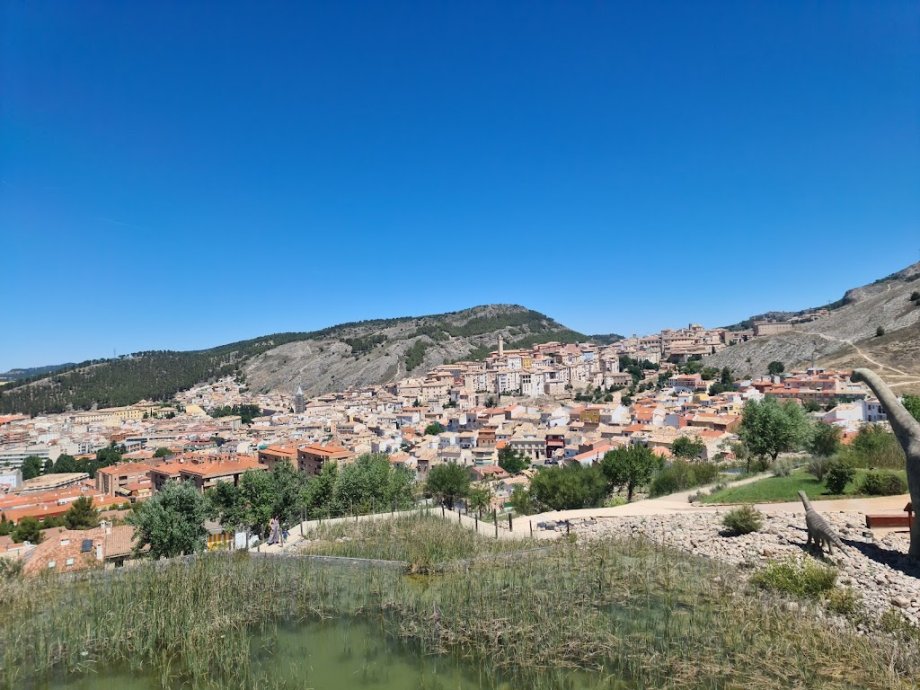 Museo Paleontológico de Castilla-La Mancha - Foto 19
