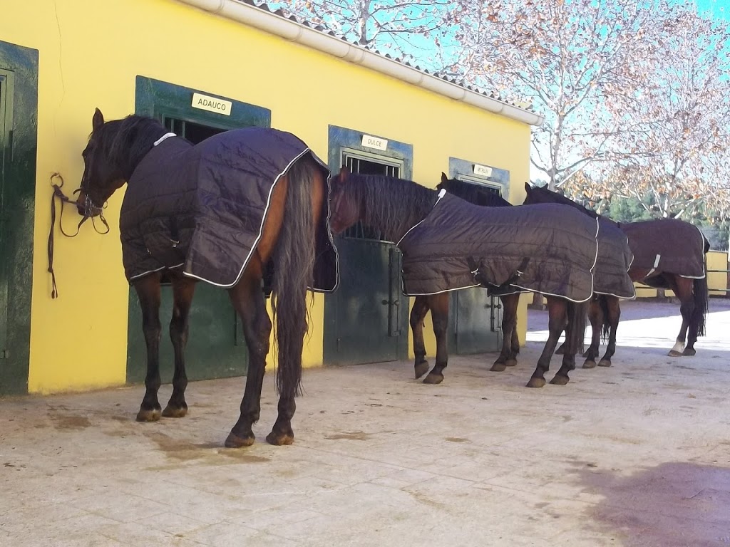 CuencAventura - Foto 1