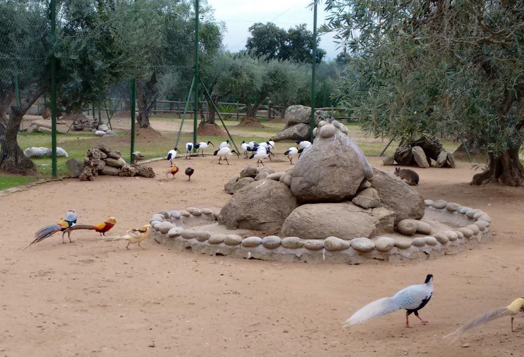 Zoo Safari Fauna Aventura - Foto 1