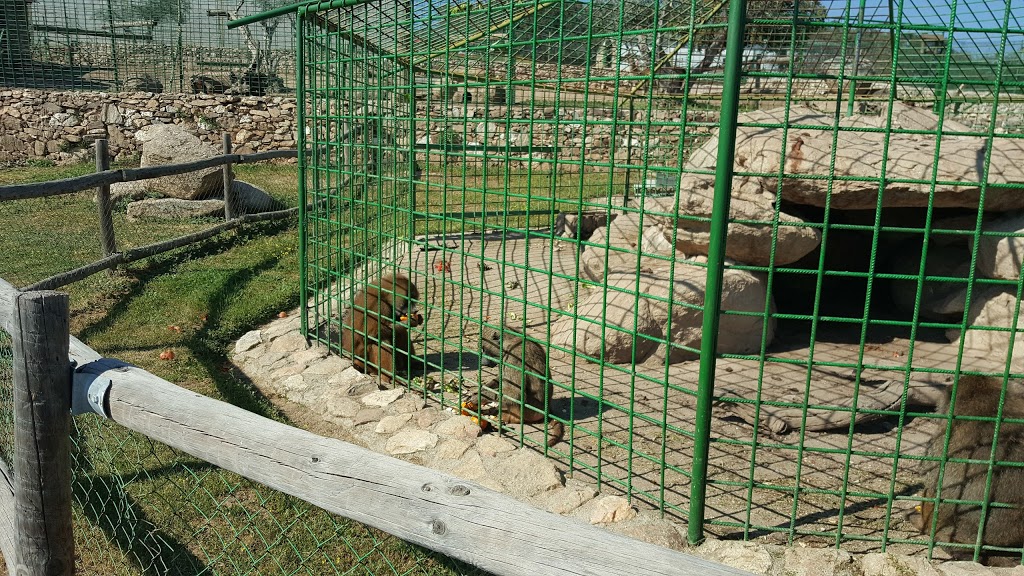 Zoo Safari Fauna Aventura - Foto 1