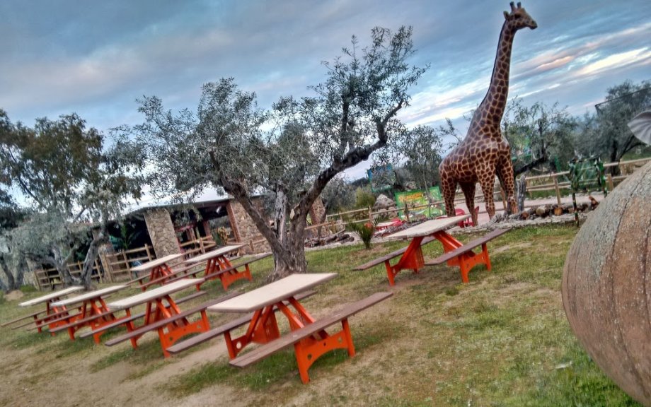 Zoo Safari Fauna Aventura - Foto 6