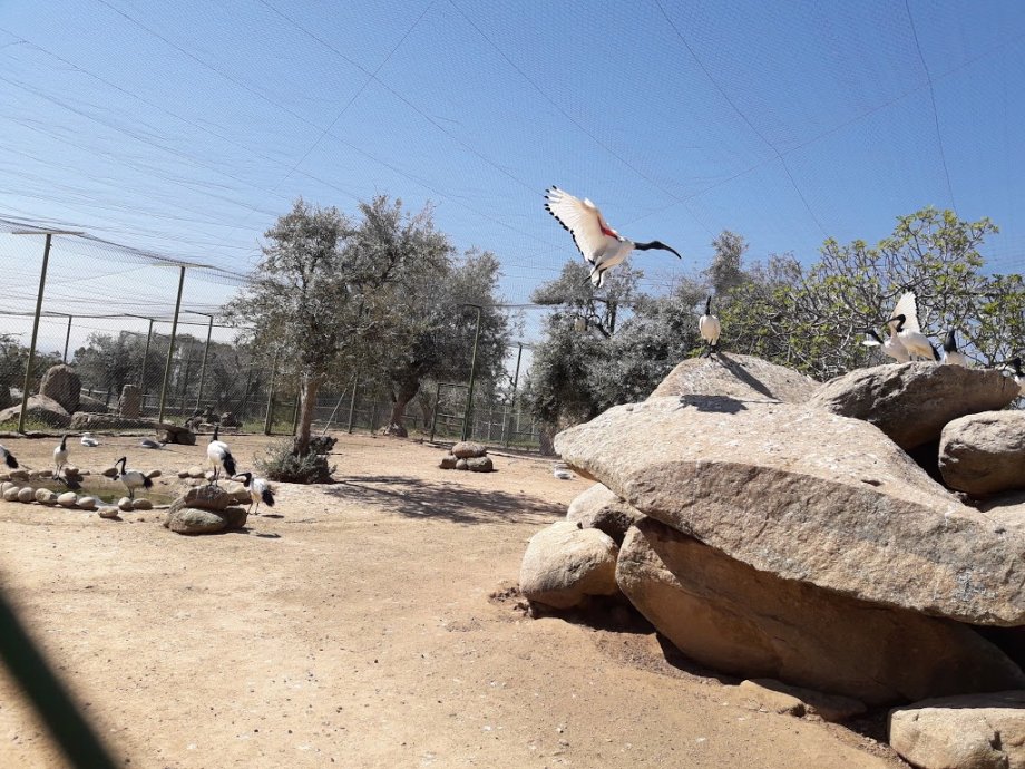 Zoo Safari Fauna Aventura - Foto 10