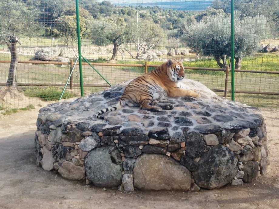 Zoo Safari Fauna Aventura - Foto 11