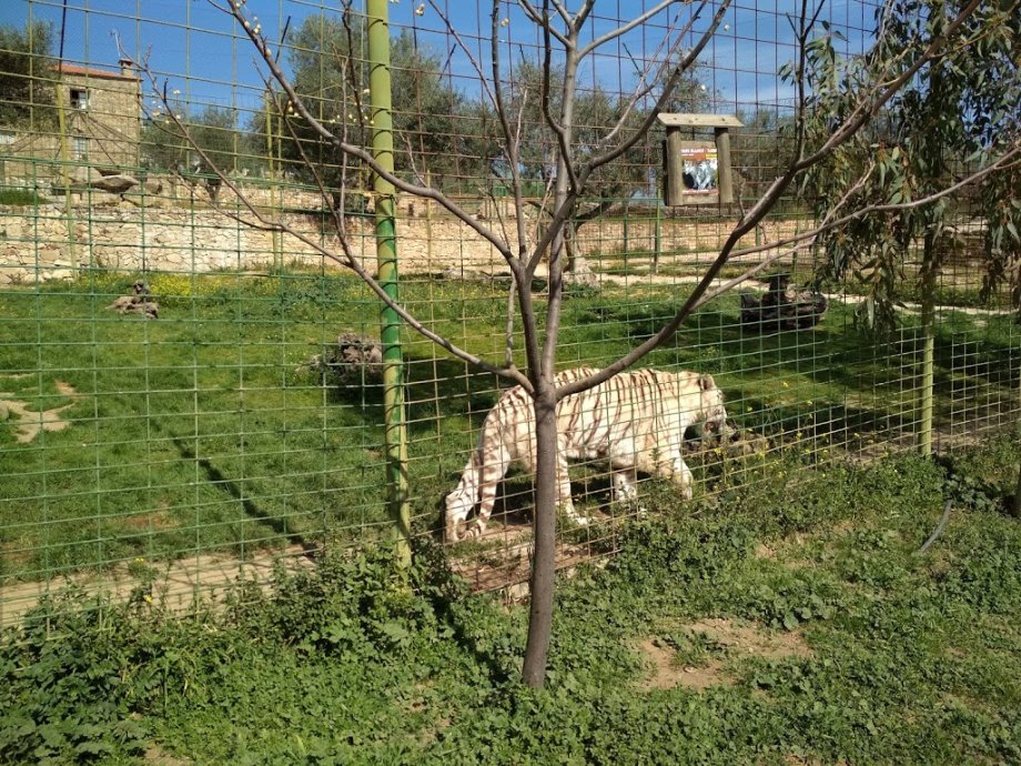 Zoo Safari Fauna Aventura - Foto 15