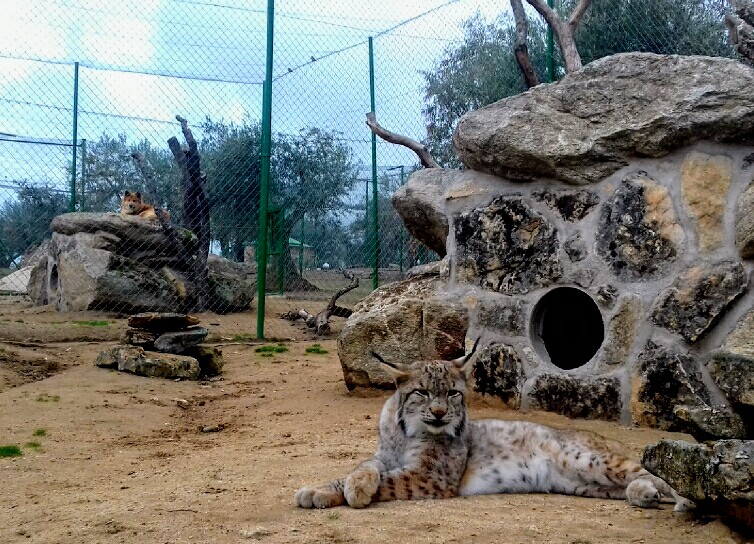 Zoo Safari Fauna Aventura - Foto 1