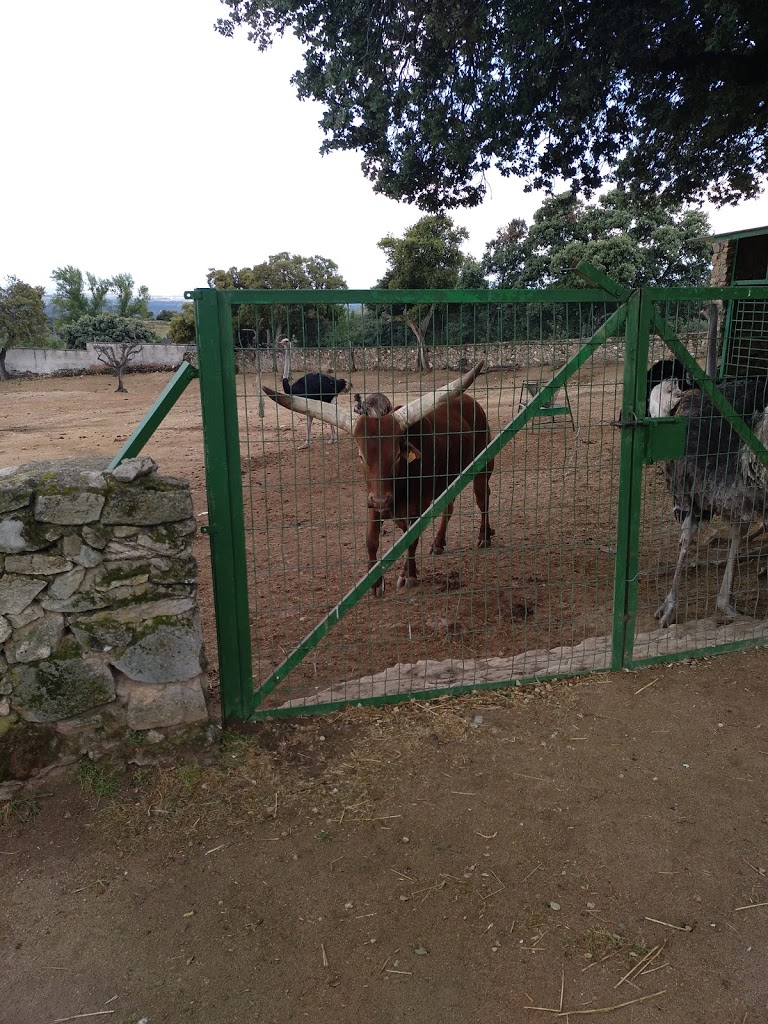 Zoo Safari Fauna Aventura - Foto 17