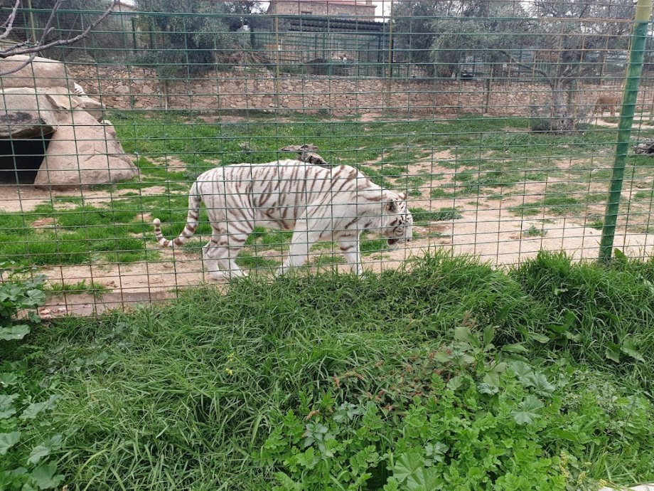 Zoo Safari Fauna Aventura - Foto 23