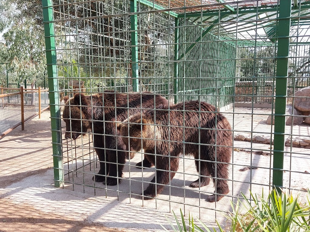 Zoo Safari Fauna Aventura - Foto 1