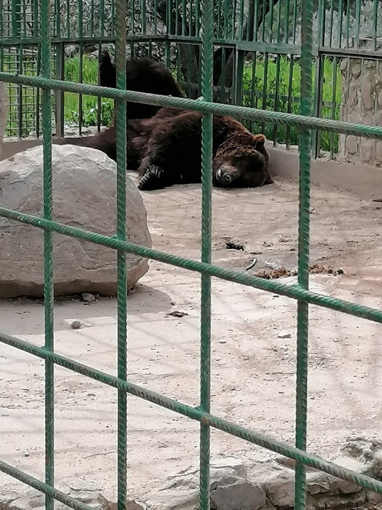 Zoo Safari Fauna Aventura - Foto 26