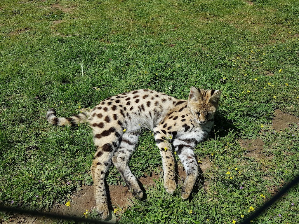 Zoo Safari Fauna Aventura - Foto 1