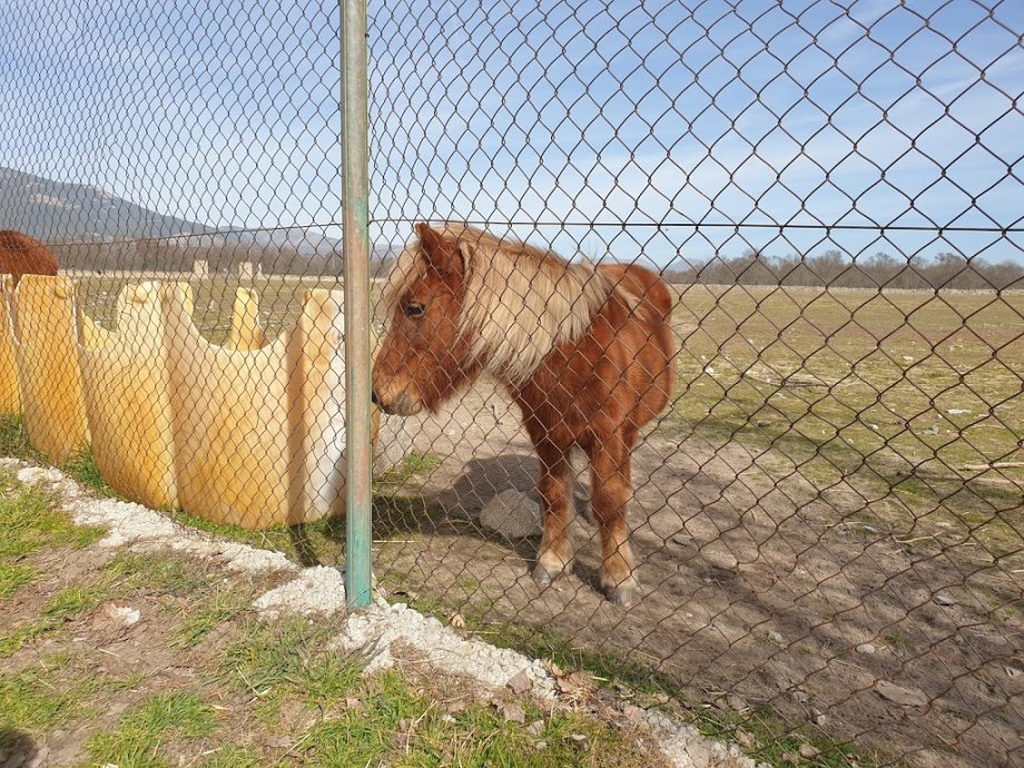 Venta El Doblao - Foto 18