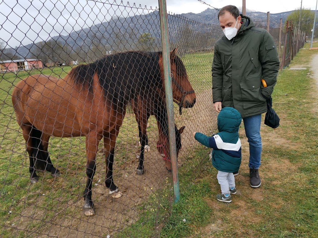 Venta El Doblao - Foto 1