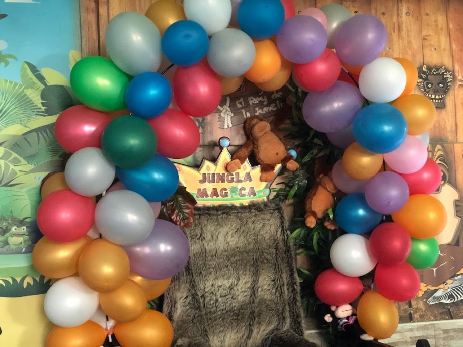 Jungla Mágica - Foto 13