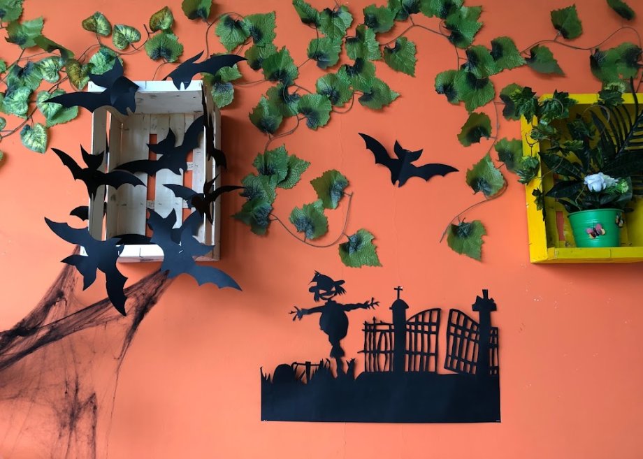 Jungla Mágica - Foto 15