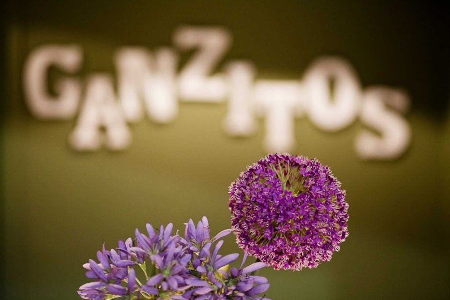 Zapatería Ganzitos - Foto 2