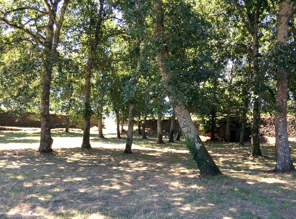 Espazo Fortaleza de Goián 5