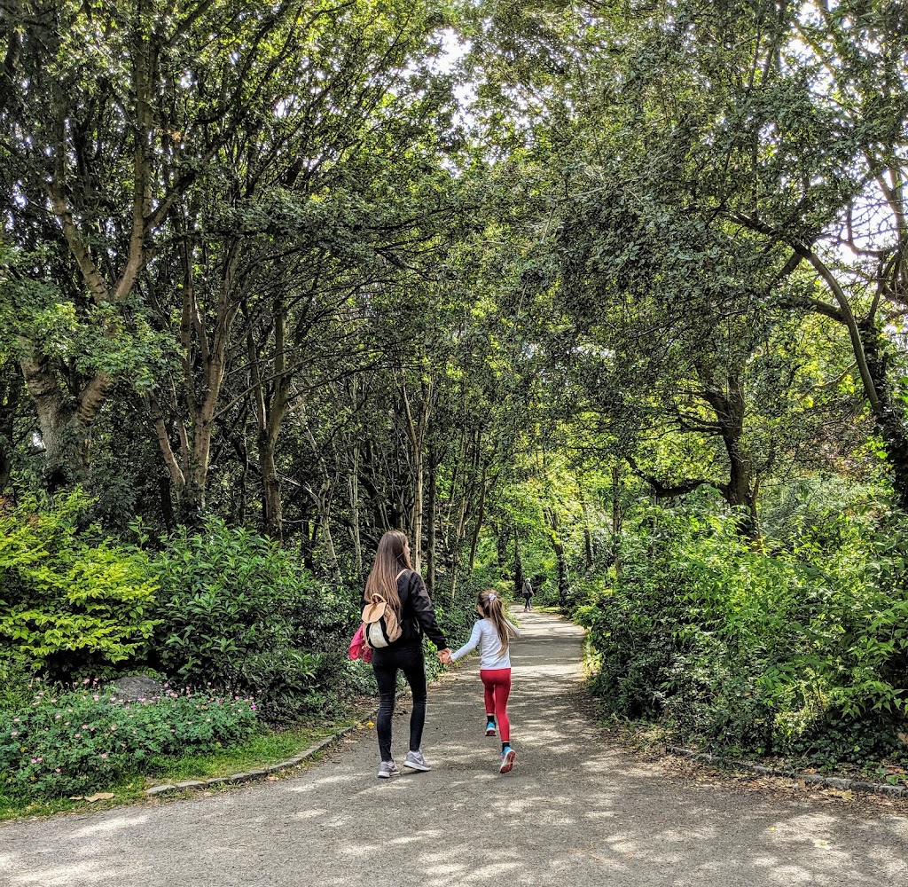 Merrion Square Playground 15