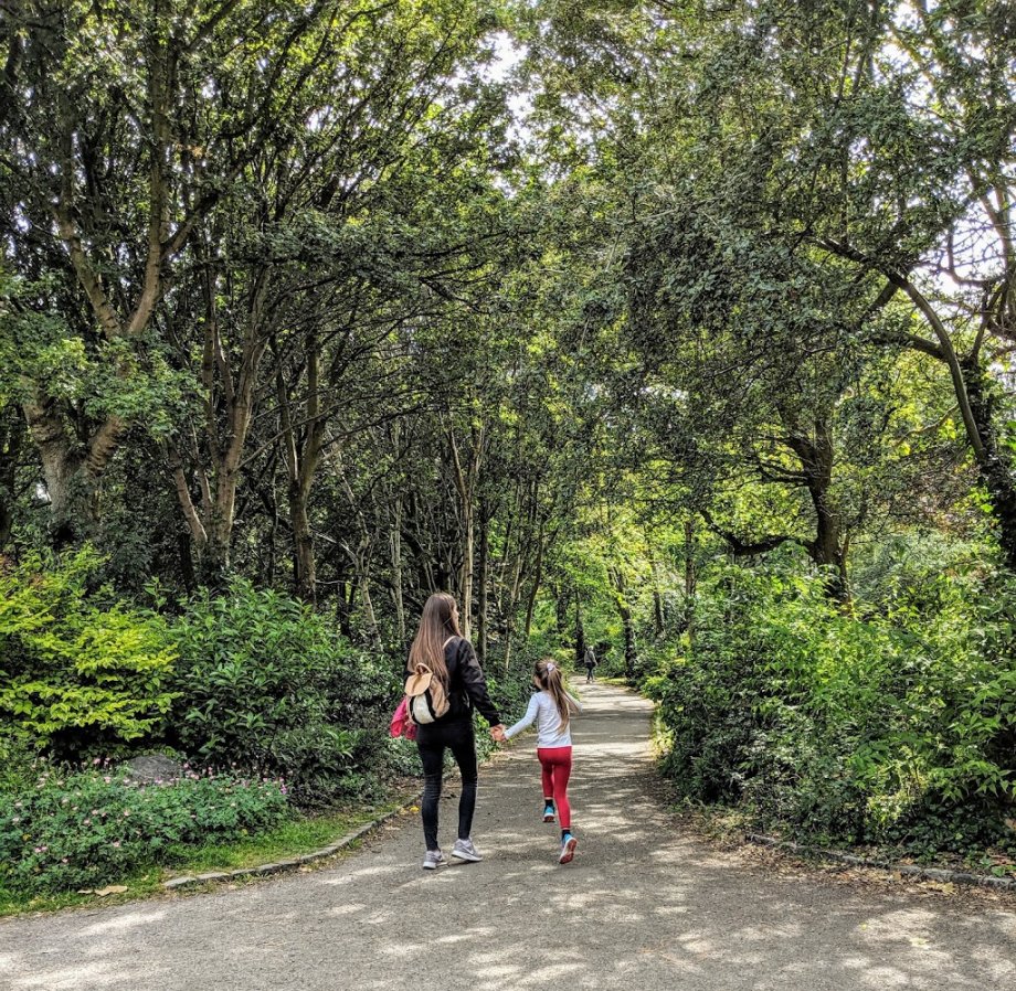 Merrion Square Playground - Foto 15