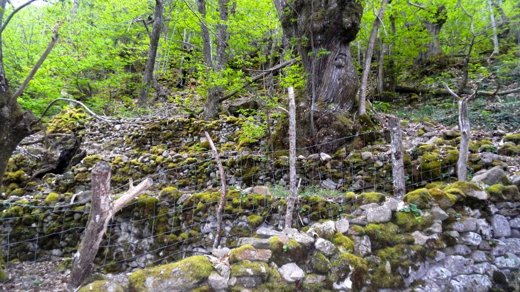 Parque de San Lázaro - Foto 1