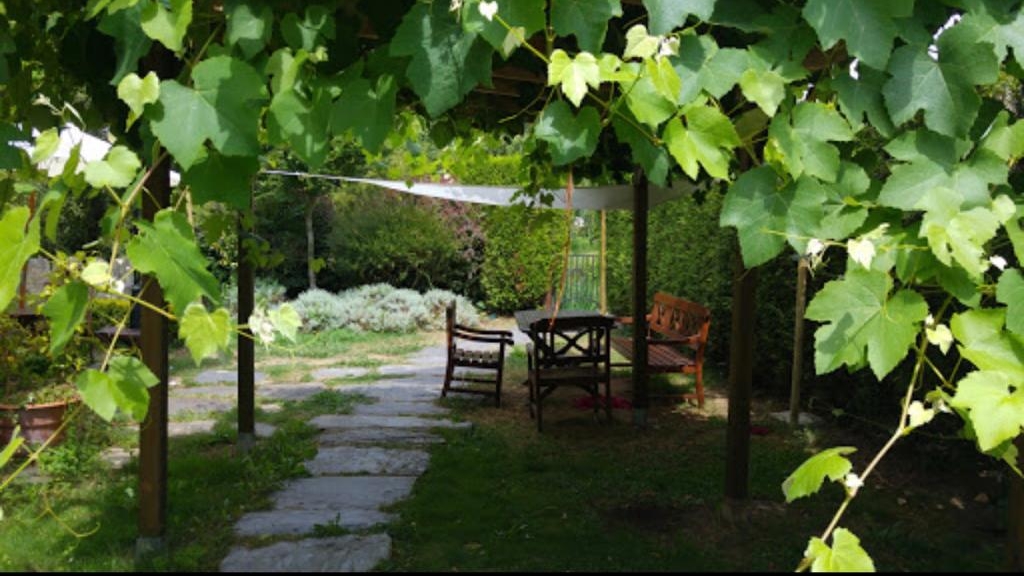 Cantina Río Coves - Foto 1