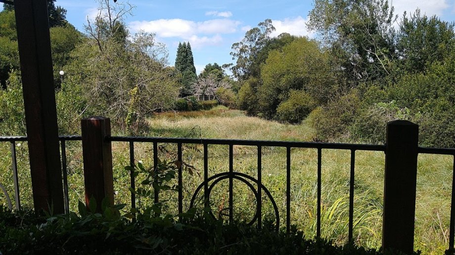 Cantina Río Coves - Foto 13