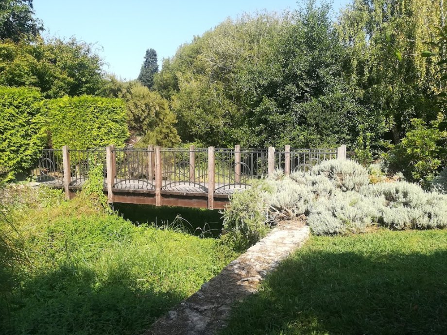 Cantina Río Coves - Foto 21