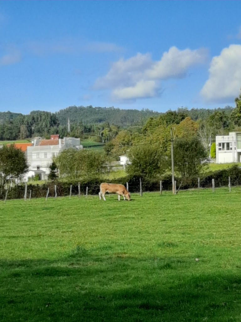 Mesón A Granxa - Foto 1