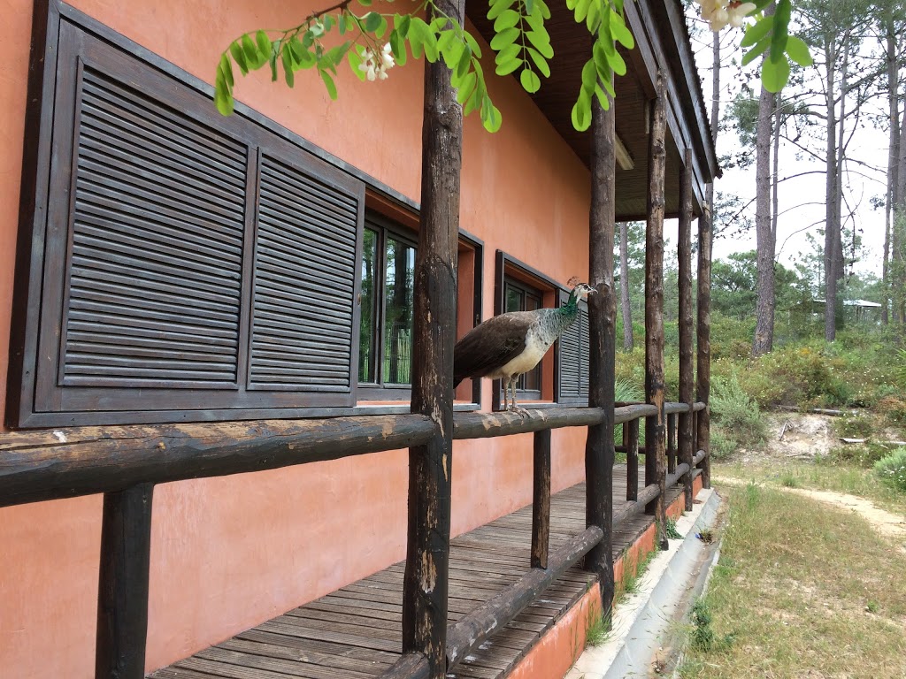 Badoca Safari Park - Foto 1