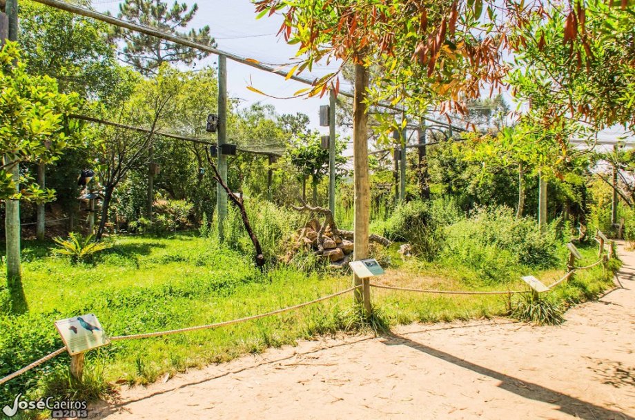 Badoca Safari Park - Foto 4