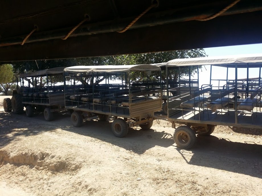 Badoca Safari Park - Foto 10