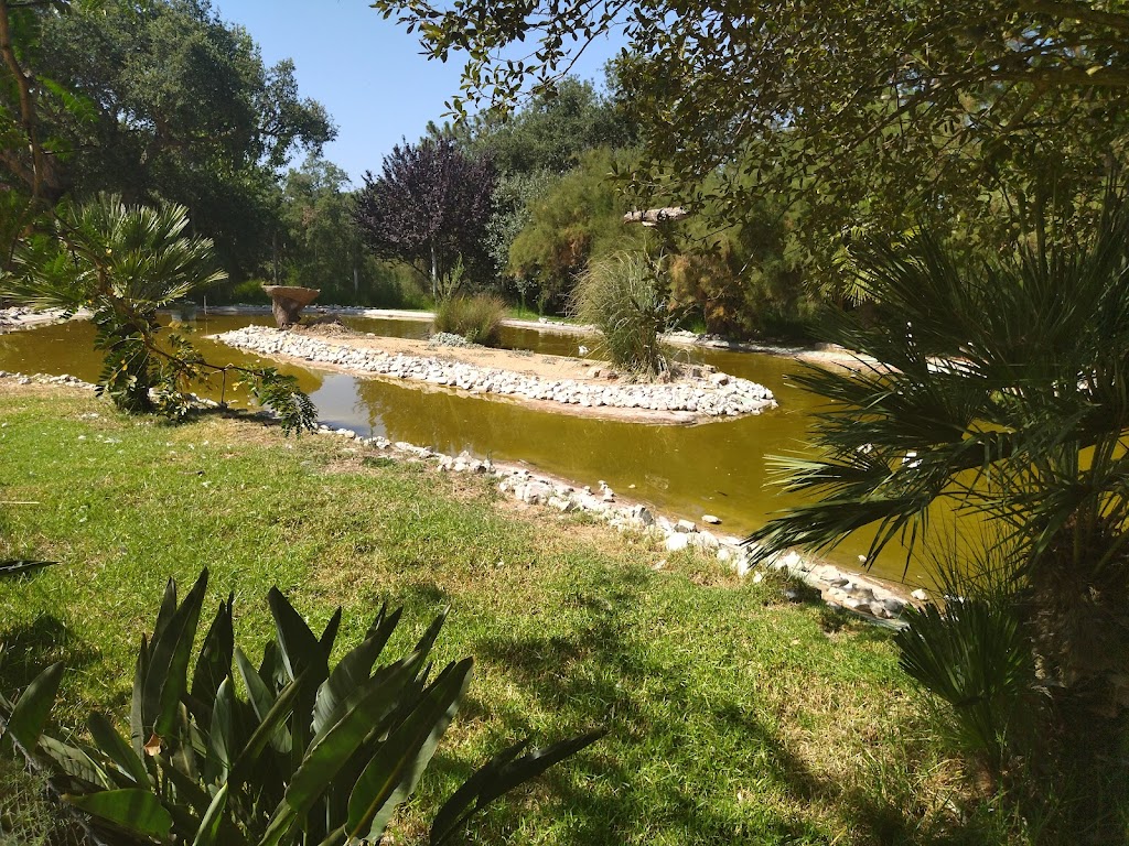 Badoca Safari Park - Foto 1