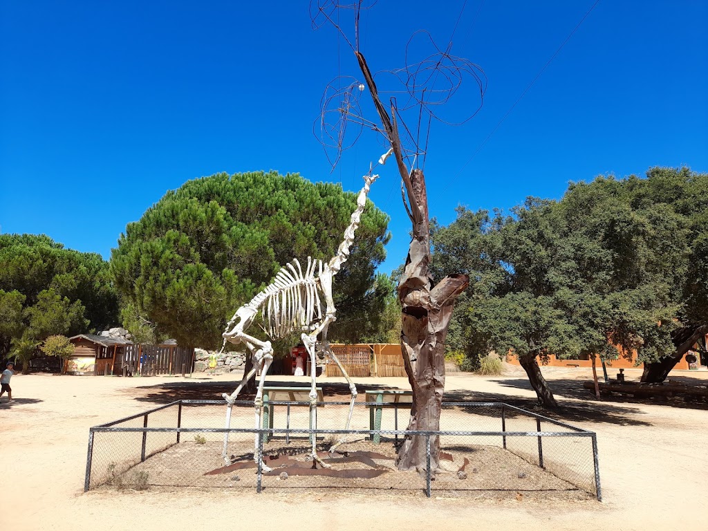 Badoca Safari Park - Foto 1