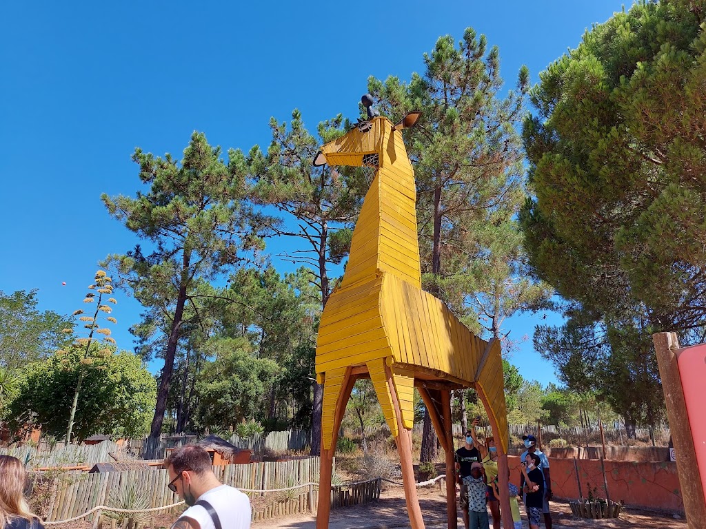 Badoca Safari Park - Foto 1