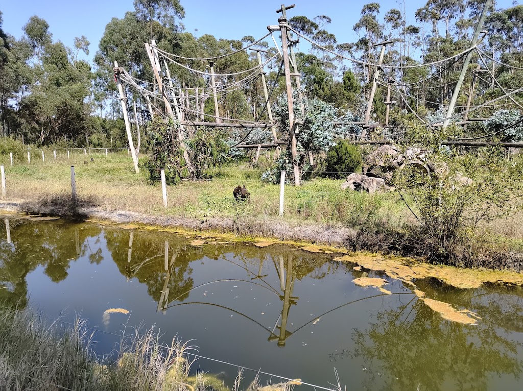 Badoca Safari Park - Foto 1