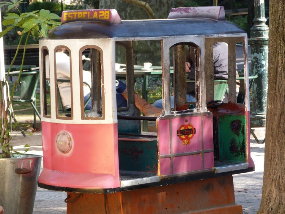 Jardim da Estrela - Foto 3