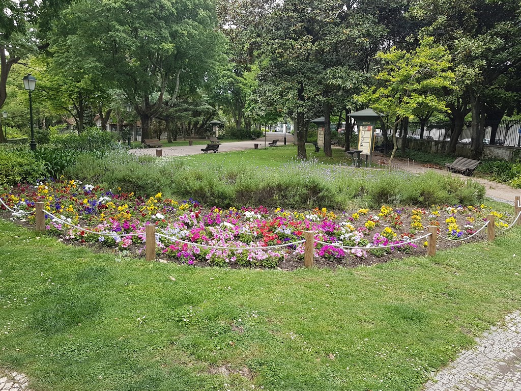 Jardim da Estrela - Foto 1