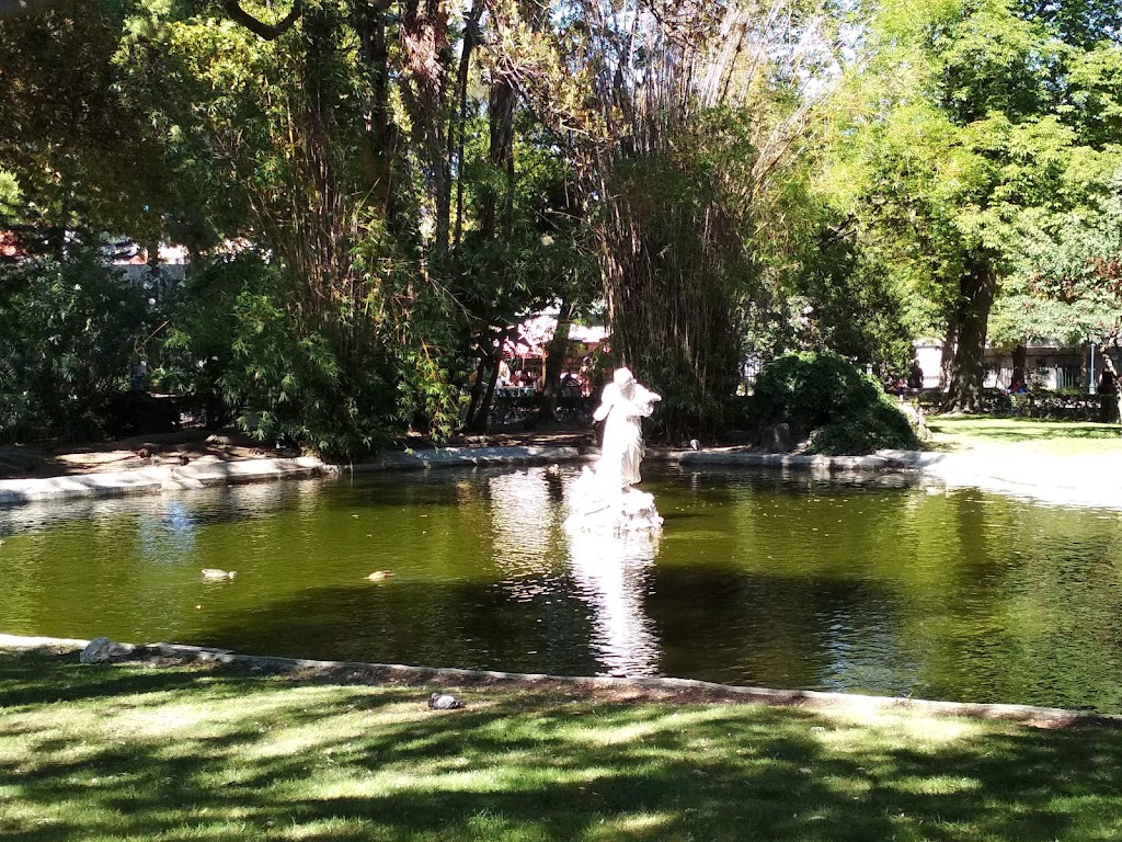 Jardim da Estrela - Foto 1