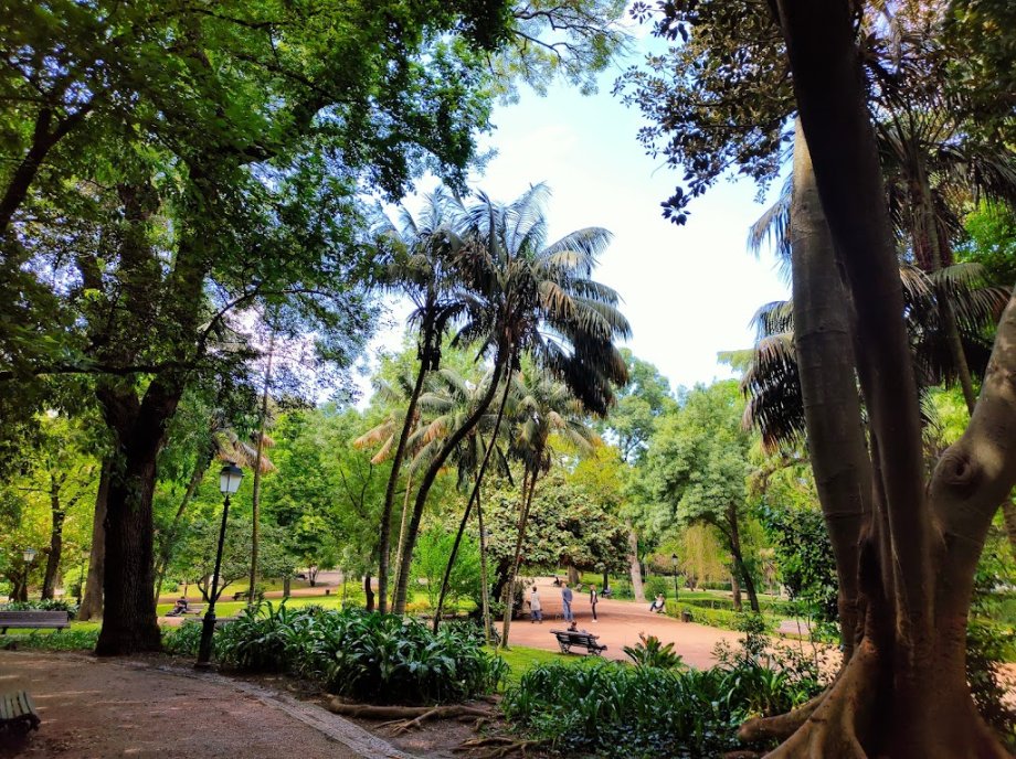 Jardim da Estrela - Foto 10