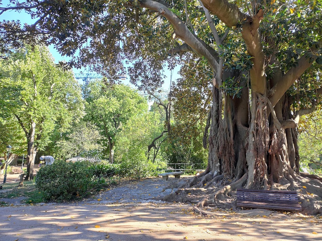 Jardim da Estrela - Foto 1