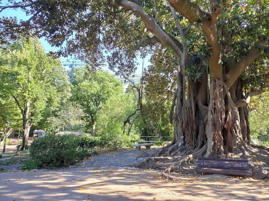 Jardim da Estrela - Foto 11