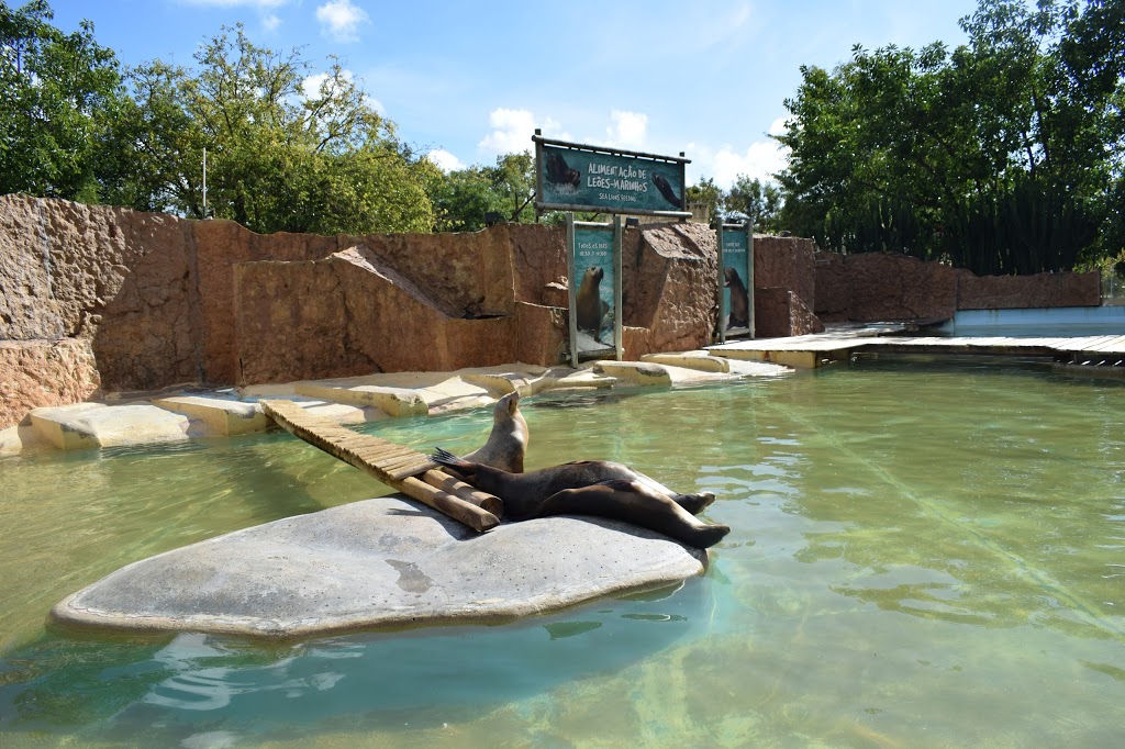 Zoológico de Lisboa 14
