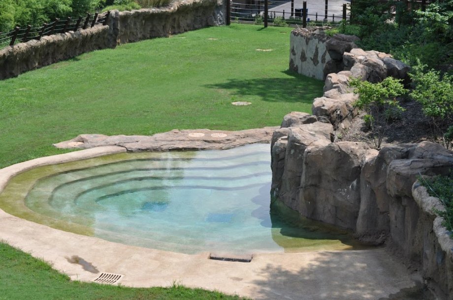 Zoológico de Lisboa - Foto 6