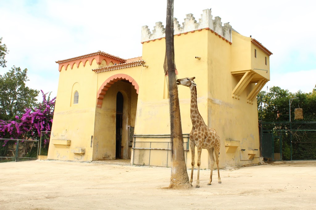 Zoológico de Lisboa 18